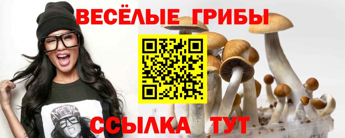 Добрянка  Галлюциногенные грибы Psilocybine cubensis  Вход с VPN 